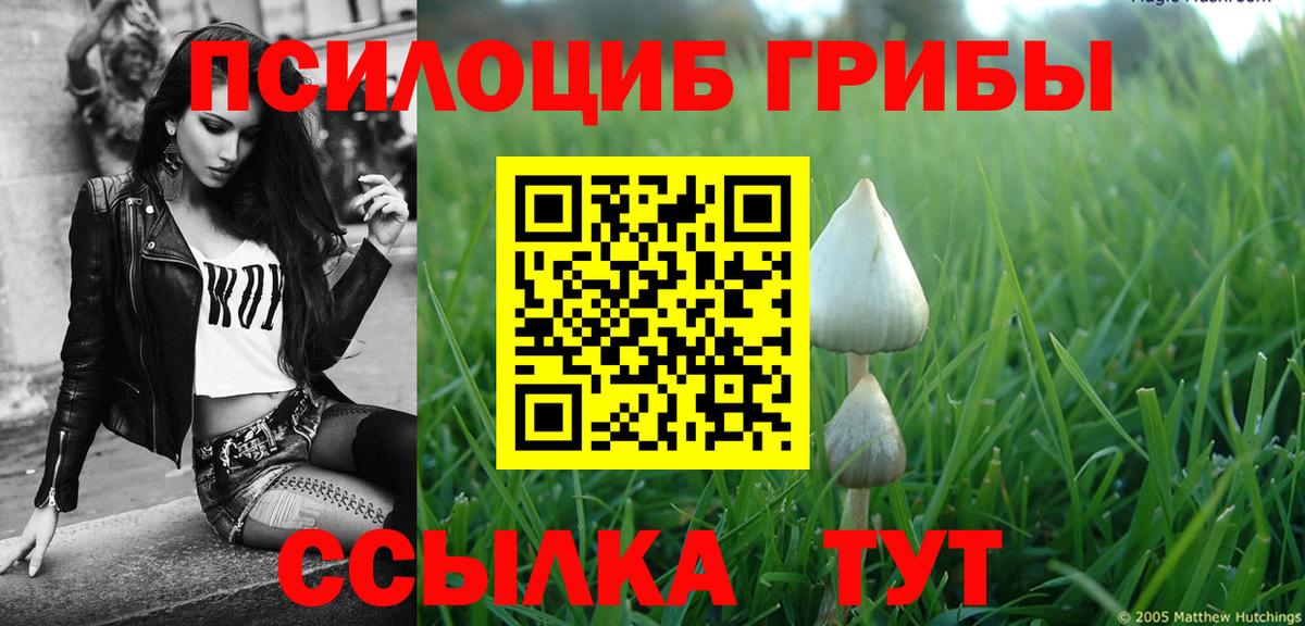 где можно купить наркотик  Галлюциногенные грибы прущие грибы  Городец  Вход с VPN  Псилоцибиновые грибы прущие грибы 