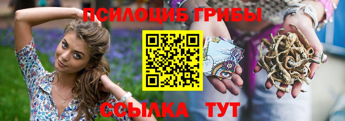 Галлюциногенные грибы Magic Shrooms Городец